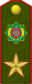 Goşun generaly (Armed Forces of Turkmenistan)[25]