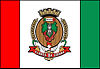 Flag of Flores da Cunha
