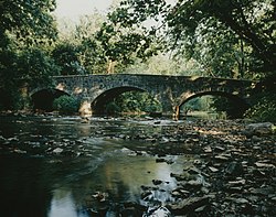 Western McClay Twin Bridge