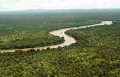 Image 17Rainforest ecosystems are rich in biodiversity. This is the Gambia River in Senegal's Niokolo-Koba National Park. (from Ecosystem)