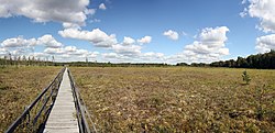 Moszna Marshland (Eastern Poland)