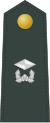 Junior Lieutenant