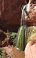 Ribbon Falls, kusa da Titin Kaibab ta Arewa, yana wakiltar ruwan ƙasa yana isa saman.