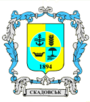 Blason de Skadovsk