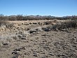 Ancien San Simon Ciénega à la frontière entre l'Arizona et le Nouveau-Mexique. Aujourd'hui morte, cette ciénaga est au-delà de toute récupération possible en raison d'un grave déficit d'eau, malgré un effort gouvernemental déterminé et de longue haleine. (2010)