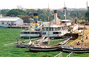 Viktoriuvatn í Kisumu í Kenja. Vatnplantan hýasint sæst týðiliga.