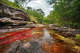 Caño Cristales Meta