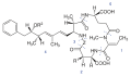 Structure moléculaire générale des nodularines