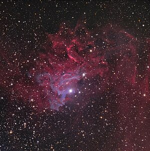 White light image of the Flaming Star Nebula showing the "smoke" of reflection nebula