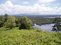 Image 41Wetland habitat types in Borneo (from Habitat)