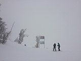 Fresh snow at Mount Rose.