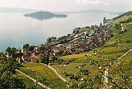 Twann village with Lake Biel/Bienne and St. Peter's Island in background