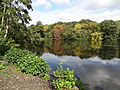 Bentley Priory Natur Erreserba.