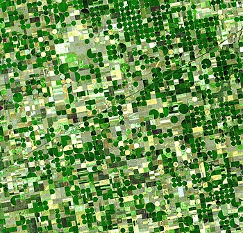 Satelitní snímek zemědělských polí v Kansasu, USA