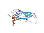 1z9l: 1.7 Angstrom Crystal Structure of the Rat VAP-A MSP Homology Domain