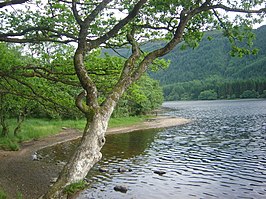 Een loch in de Trossachs.