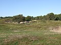 Fossile Dünen von Ghyvelde