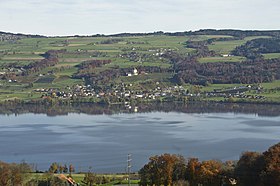 Une vue du lac depuis les hauteurs de Retschwil avec vue sur Gelfingen.