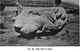 Partie de la tête du lion, avant restauration.