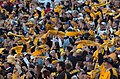 Image 32Pittsburgh Steelers' fans waving the Terrible Towel, a tradition that dates back to 1975 (from Pennsylvania)