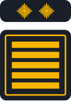 Landesfeuerwehrinspekteur/-in