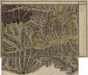 Câmpu lui Neag în Harta Iosefină a Transilvaniei, 1769-1773