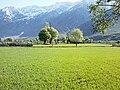 View of Suru Valley