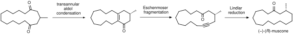 Sintesi del (−)-(R)-muscone via condensazione aldolica intramolecolare