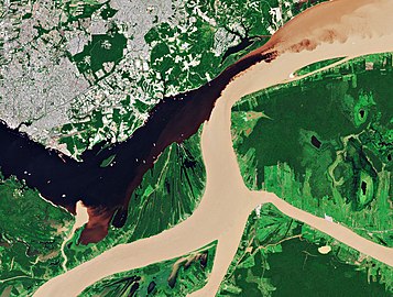 Vue satellitaire (Copernicus 7/02/2018): largeur un peu plus grande du Rio Negro mais les eaux du Solimões (en bas) finissent par « prendre le dessus ».