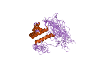 2dt7: Solution structure of the second SURP domain of human splicing factor SF3a120 in complex with a fragment of human splicing factor SF3a60