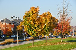 View of a residences in West Rouge