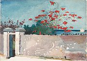 A Wall, Nassau, 1898 (37,8 × 54,3 cm)