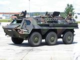 A TPz1 Fuchs Pionier.