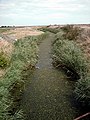 The brook as seen from Bridgewick Road bridge in the marshes.