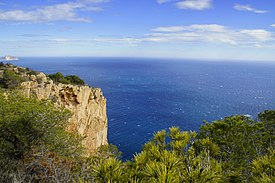 Bosque de pino carrasco en la Sierra Helada (Provincia de Alicante, España).