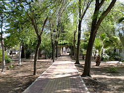 Antonio Martín Delgado Park in Lantejuela