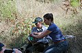 Fox health check at Santa Cruz Island