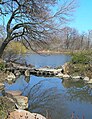 Osaka Japanese Garden in Jackson Park