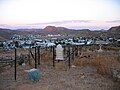 Springbok from the old cemetery