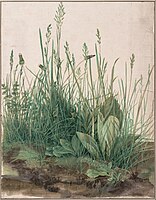 Albrecht Dürer, Great Piece of Turf, 1503