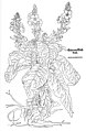 Leonhart Fuchs 1543 Verbascum phlomoides