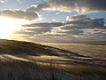 Strand auf Juist