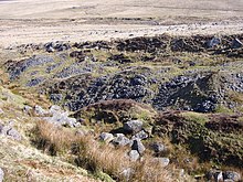 Regularly spaced low piles of stones in a shallow channel