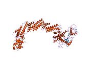 1ldk: Structure of the Cul1-Rbx1-Skp1-F boxSkp2 SCF Ubiquitin Ligase Complex