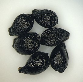 Seeds