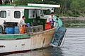 Image 4Lobstering in Portland (from Maine)