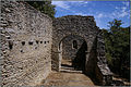 Chapelle Notre-Dame-de-la-Lauze (vestiges)