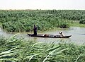 Moerasarabieren in een masjoef; een traditioneel vaartuig in de moerassen van Mesopotamië