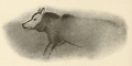 Image 6Watercolor tracing made by archaeologist Henri Breuil from a cave painting of a wolf-like canid, Font-de-Gaume, France, dated 19,000 years ago (from Domestication of the dog)