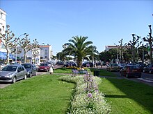 Photographie d'une voie plantée de platanes taillés, avec terre-plein central en pelouse ornée de massifs fleuris, bancs et palmiers